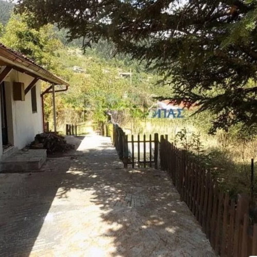 Detached house in Pavliani Fthiotida with garden and fireplace
