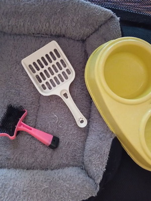Pet bed, feeder, scoop and brush used set