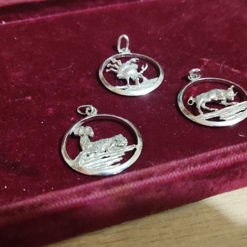 Zodia silver 925 set new