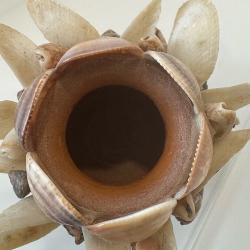 Candlestick made of shells like new, handmade