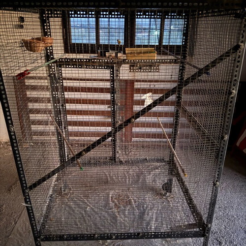 Large bird cage like new