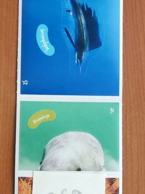 Exploring the Ocean stickers new, numbers 52, 31, 41 and tattoos