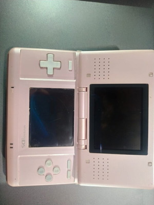 Nintendo DS Pink