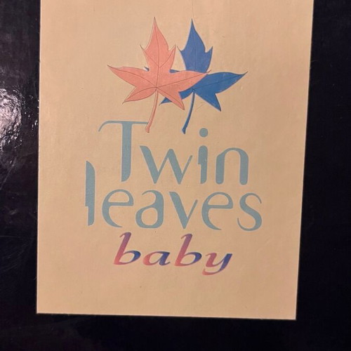 Twin Leaves Baby photo album like new, blue with silver butterfly