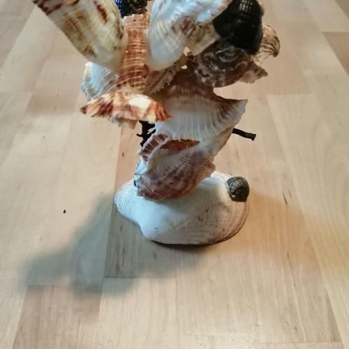 Handmade decorative seashell birds new