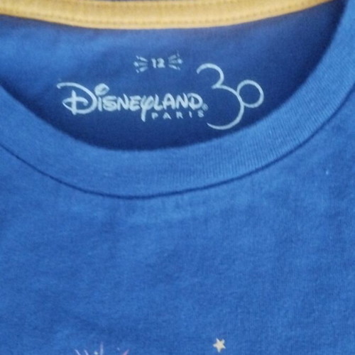 Disney T-shirt for girl 12 years old, used, blue