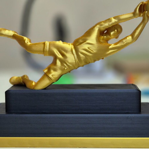 Best goalkeeper award like new