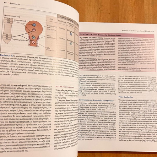 Physiology 6th Edition Linda S. Costanzo Like New