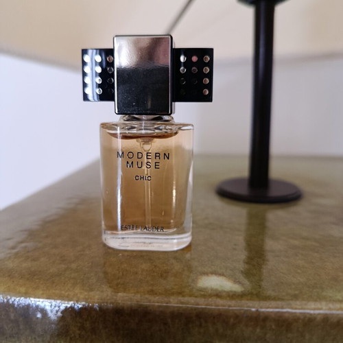 Modern Muse Chic Estée Lauder Mini Spray 4ml new