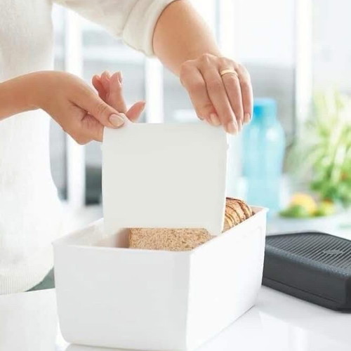 Smart Junior Tupperware Bread Box collectible color new