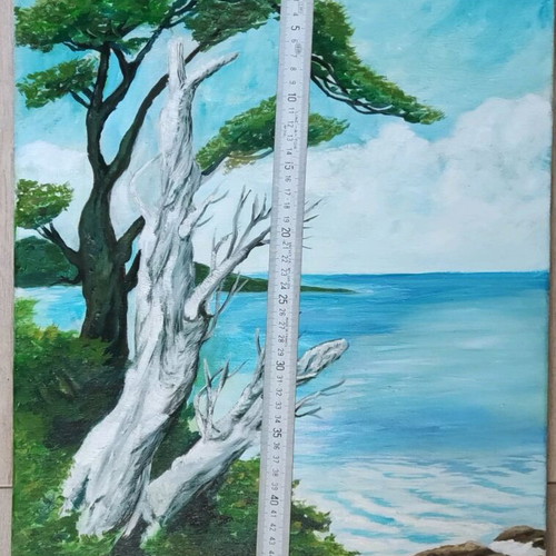 Oil painting on canvas new 50 x 40