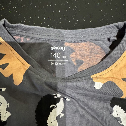 Sinsay children's long-sleeve shirt size 9-10 years like new, gray