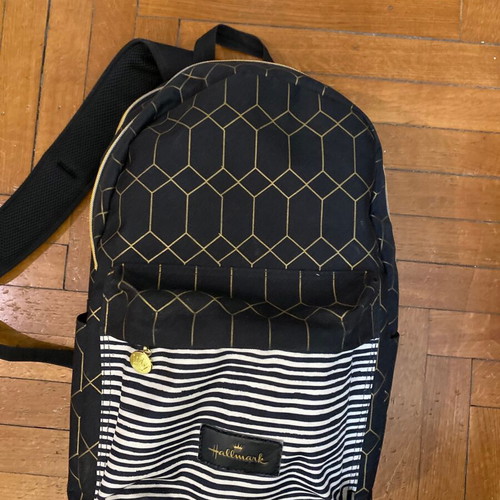Hallmark backpack two compartments like new brown