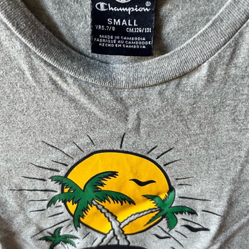 Champion T-shirt gray for boy used, size 128 cm
