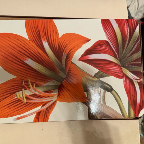 Jason placemats vintage, pack of 12, New York Botanical Garden, like new