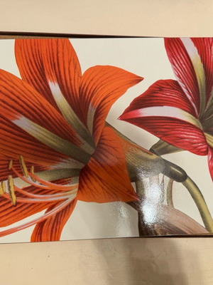 Jason placemats vintage, pack of 12, New York Botanical Garden, like new