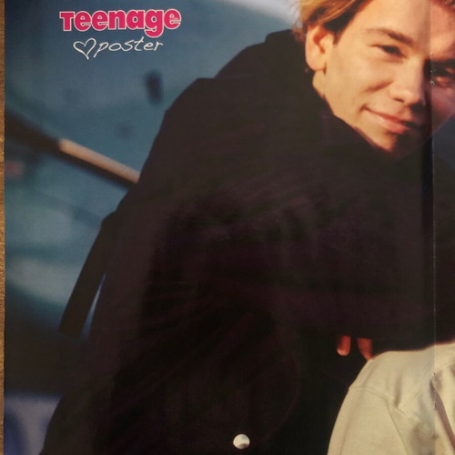Marcus & Martinus Poster from Teenage Girl Magazine new