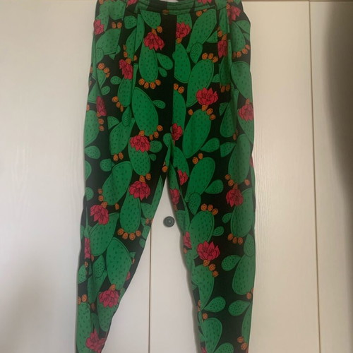 We Are pants with prickly pear print size large like new