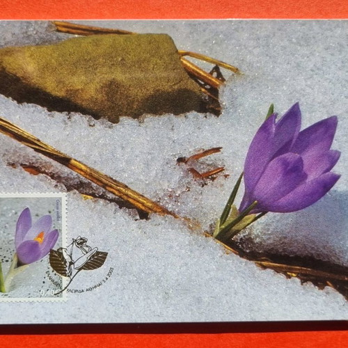 Maximum cards 03/2005 full set, Greek flora, luxe condition