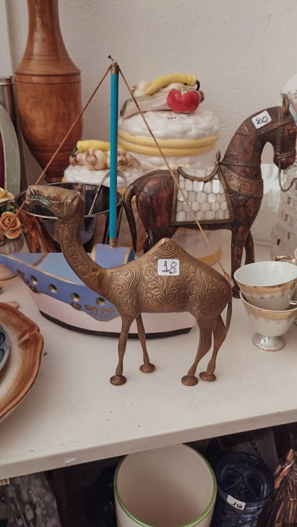 camel