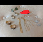 Earrings new