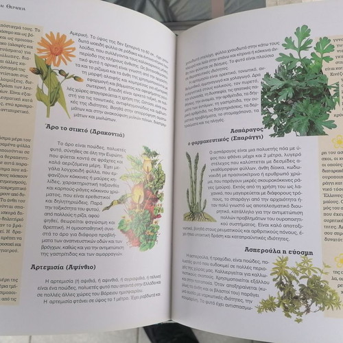 Family Health Modern Medical Guide new, five volumes