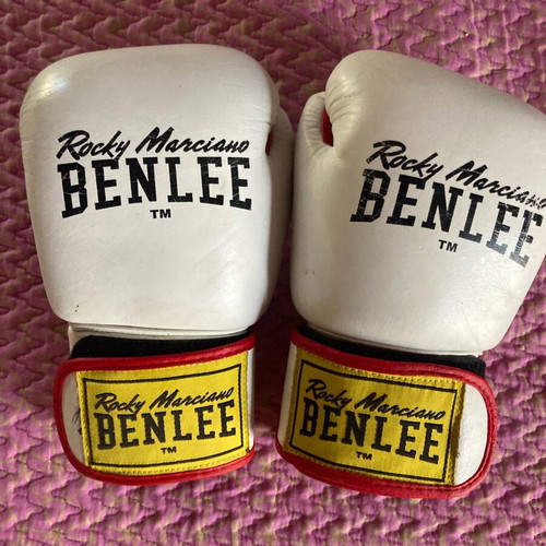 Benlee Rocky Marciano Draco 10oz boxing gloves