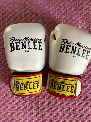 Benlee Rocky Marciano Draco 10oz boxing gloves