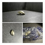 Drawer Knobs 6 pieces New