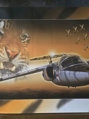 Saab 105 Tigermeet poster new, collectible