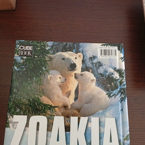 Cube Book Zoakia Greek Letters book like new
