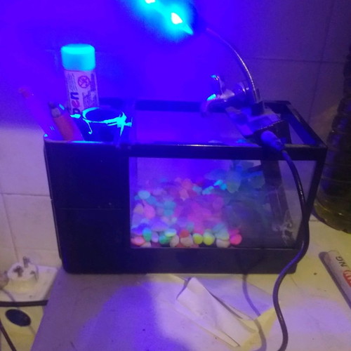 Mini aquarium pencil holder used with LED lighting