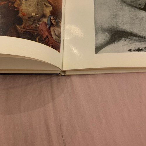 Delacroix book used with paintings