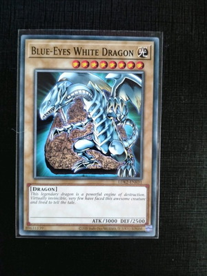 Blue-Eyes White Dragon new, LDK2-ENK01, 2020, in sleeve