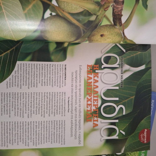 Gardening magazines like new, pack of 2
