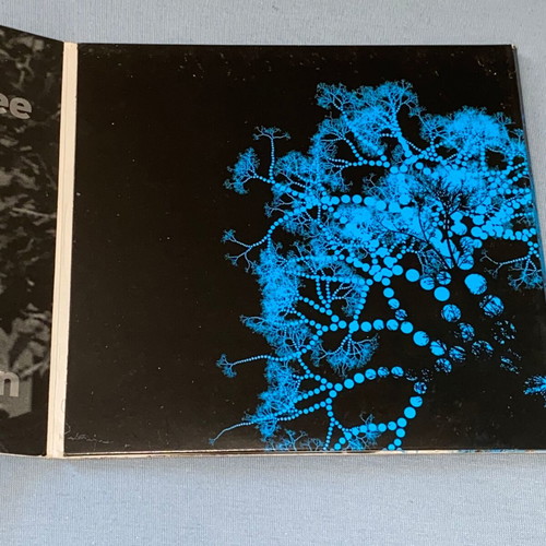 Lynx jazz CD new Greek group