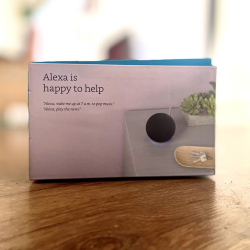 Alexa Voice Helper for House