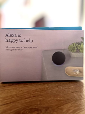 Alexa Voice Helper for House
