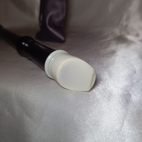 Qten recorder new with carrying case