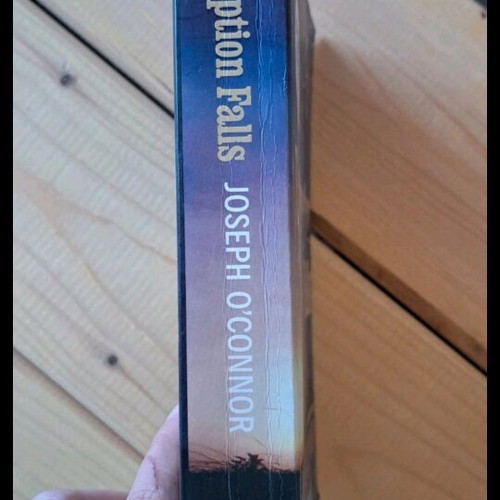 Redemption Falls book like new