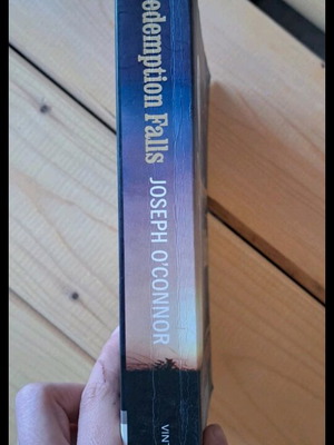Redemption Falls book like new