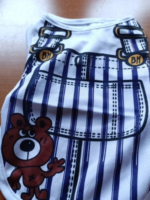 Dog clothes S new for lively boys