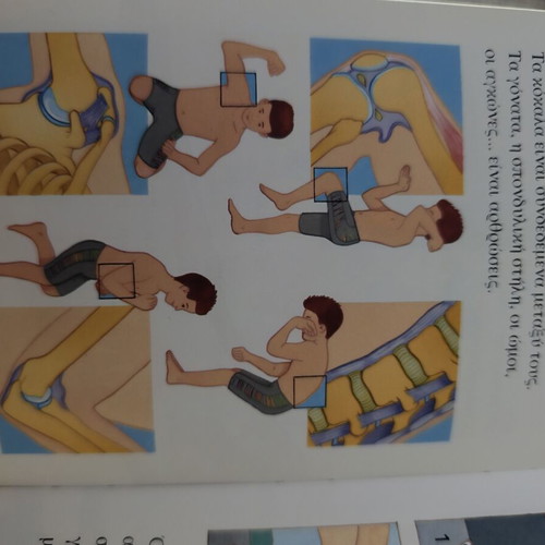 The Body - Άμμος Larousse Children's Book New, Hardcover