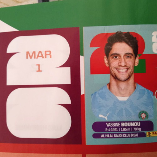 FIFA World Cup stickers, new