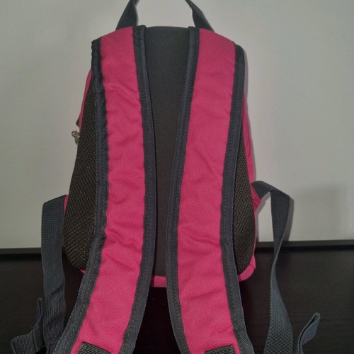 Backpack Polo small backpack in like new condition, gray and pink