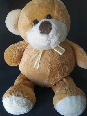 Teddy bear very large used