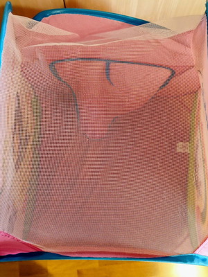 Gabby's Dollhouse Play Tent like new