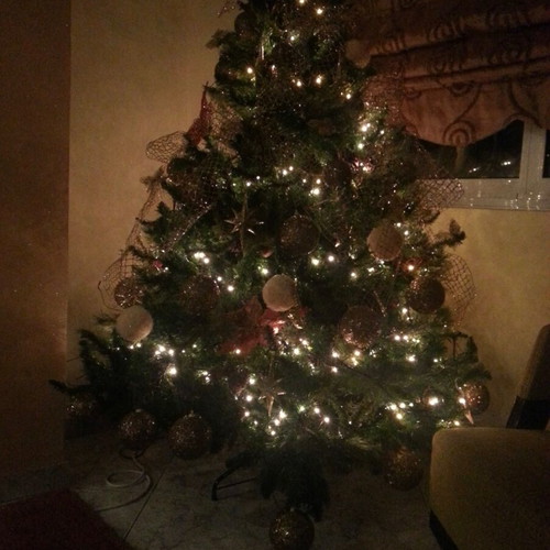 Christmas tree used, 1.65 m tall, with real pine cones