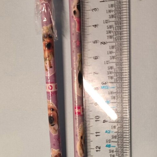 Pencil with removable eraser topper The Dog Artist collection new