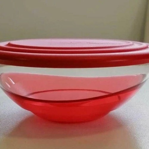 Tupperware Elegant 600 ml bowl set of 2